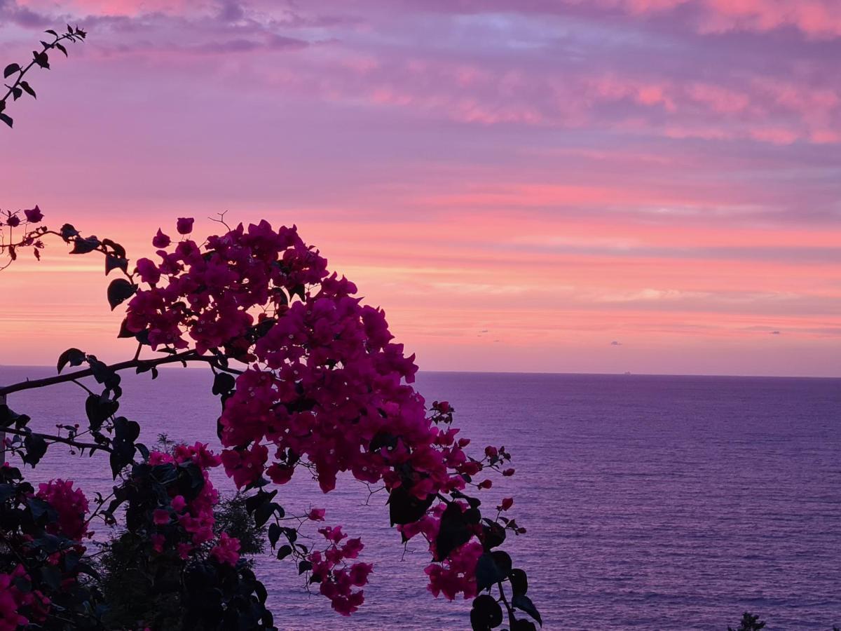 “Cielo E Mare”, Casetta Nel Cuore Del Borgo Antico / “Sky & Sea”, Charming In The Heart Of Old Village Castelsardo Zewnętrze zdjęcie
